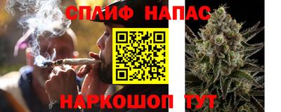 альфа пвп Заводоуковск