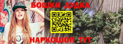 альфа пвп Заводоуковск