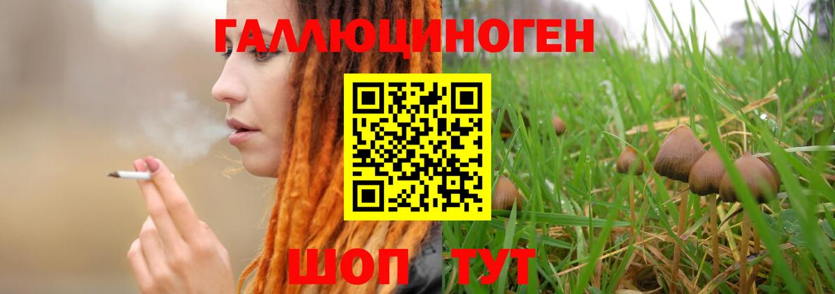 Галлюциногенные грибы Psilocybine cubensis Магадан