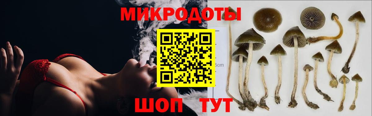 Магадан  Псилоцибиновые грибы прущие грибы  купить наркотик  Вход с VPN 